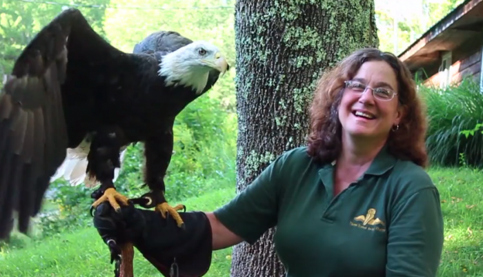 Season {2} Episode {5}: Wendy Perrone
Image shows smiling woman holding a bald eagle with its wings slightly raised.